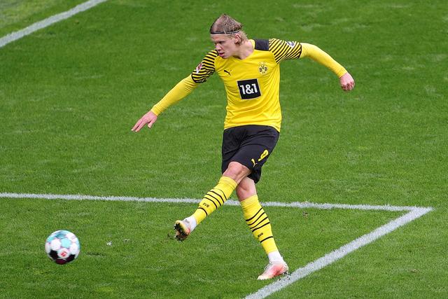 在5外援的 在5外援的